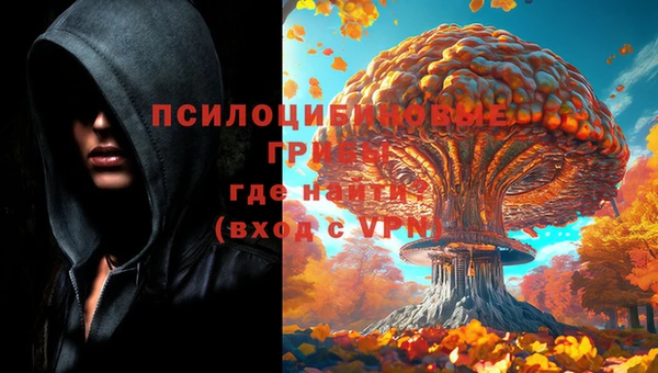 мяу мяу мука Магас