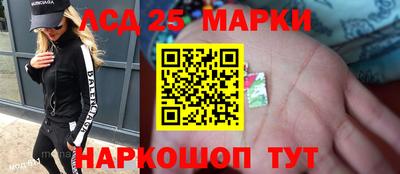 скорость Кингисепп