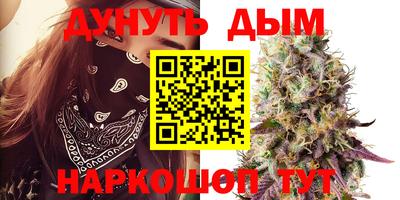 скорость Кингисепп
