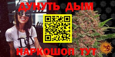 скорость Кингисепп