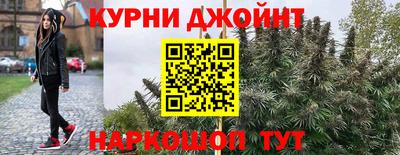 скорость Кингисепп