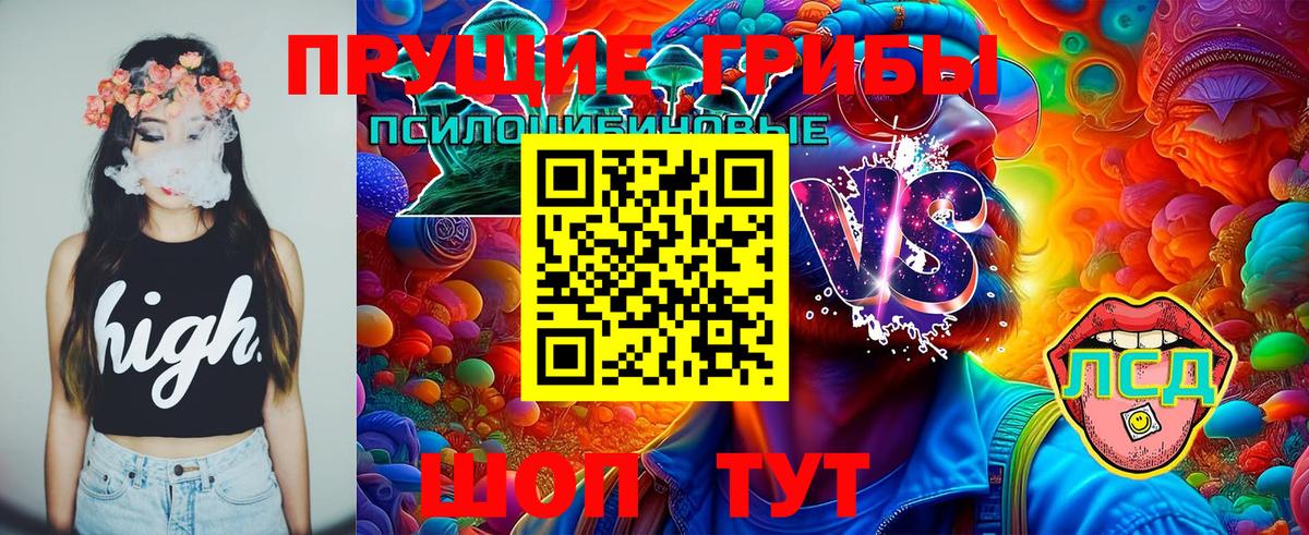 Псилоцибиновые грибы прущие грибы  Энгельс  Галлюциногенные грибы прущие грибы 