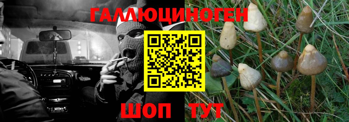 Псилоцибиновые грибы ЛСД  Вход с VPN  Галлюциногенные грибы GOLDEN TEACHER  как найти закладки  Энгельс 
