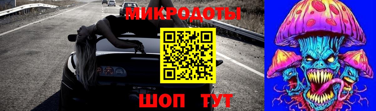 Галлюциногенные грибы Psilocybine cubensis Энгельс