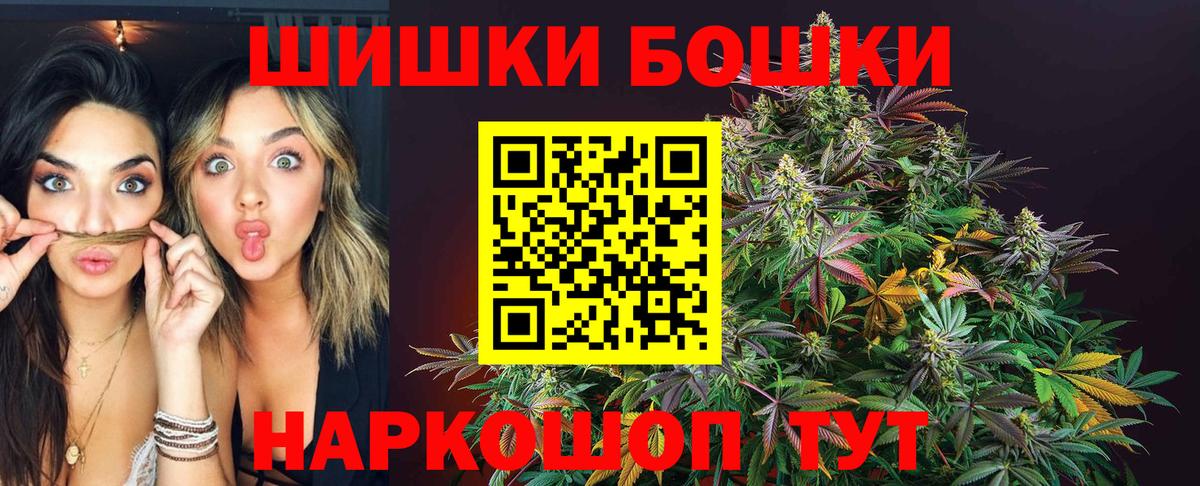 Конопля план  Каннабис планчик  Каннабис OG Kush  Энгельс 